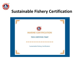 Sustainable Fishery Certification
 