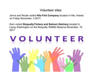 Volunteer sites
Jenna and Nicole visited Hilo Fish Company located in Hilo, Hawaii
on Friday November, 3 2017.
Sam visited Nisqually Fishery and Salmon Hatchery located in
Lacey Washington on the Nisqually Wildlife Reserve November, 15
2017
 