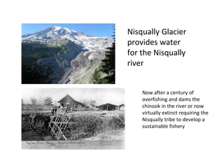 Nisqually Glacier
provides water
for the Nisqually
river
Now after a century of
overfishing and dams the
chinook in the river or now
virtually extinct requiring the
Nisqually tribe to develop a
sustainable fishery
 
