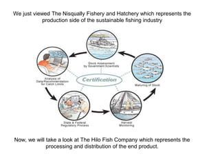 We just viewed The Nisqually Fishery and Hatchery which represents the
production side of the sustainable fishing industry
Now, we will take a look at The Hilo Fish Company which represents the
processing and distribution of the end product.
 
