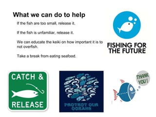 What we can do to help
If the fish are too small, release it.
If the fish is unfamiliar, release it.
We can educate the keiki on how important it is to
not overfish.
Take a break from eating seafood.
 