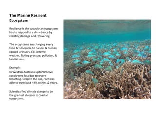 The Marine Resilient
Ecosystem
Resilience is the capacity an ecosystem
has to respond to a disturbance by
resisting damage and recovering.
The ecosystems are changing every
time & vulnerable to natural & human
caused stressors. Ex: Extreme
weather, fishing pressure, pollution, &
habitat loss.
Example:
In Western Australia up to 90% live
corals were lost due to severe
bleaching. Despite the loss, reef was
able to grow back 44% within 12 years.
Scientists find climate change to be
the greatest stressor to coastal
ecosystems.
 