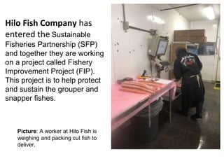 Hilo Fish Company has
entered the Sustainable
Fisheries Partnership (SFP)
and together they are working
on a project calle...