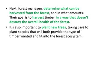 • Next, forest managers determine what can be
harvested from the forest, and in what amounts.
Their goal is to harvest timber in a way that doesn't
destroy the overall health of the forest.
• It's also important to plant new trees, taking care to
plant species that will both provide the type of
timber wanted and fit into the forest ecosystem.
 