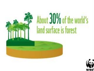 Sustainable Forest Management Techniques by Joe John Ponnezhan | PPT