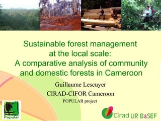 Sustainable forest management  at the local scale:  A comparative analysis of community and domestic forests in Cameroon Guillaume Lescuyer CIRAD-CIFOR Cameroon POPULAR project  