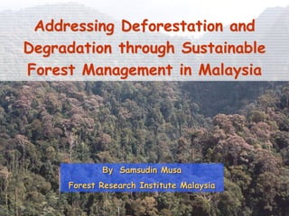 Addressing Deforestation and
Degradation through Sustainable
Forest Management in Malaysia




            By Samsudin Musa
     Forest Research Institute Malaysia
 