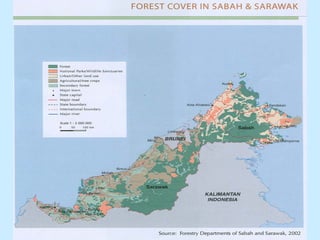 Sustainable forest management malaysia | PDF
