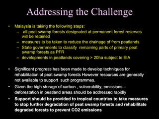 Sustainable forest management malaysia | PDF