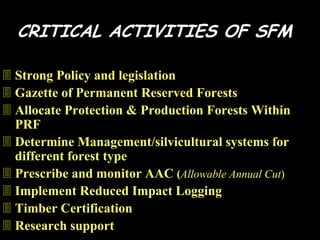 Sustainable forest management malaysia | PDF