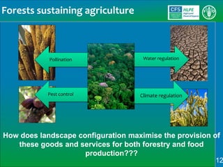 Sustainable Forestry for Food Security and Nutrition: FTA for better food systems and improved nutrition: Needs of Stakeholders and priorities for research