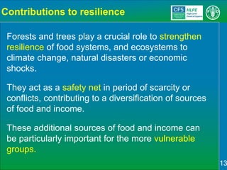 Sustainable Forestry for Food Security and Nutrition: FTA for better food systems and improved nutrition: Needs of Stakeholders and priorities for research