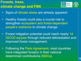 Sustainable Forestry for Food Security and Nutrition: FTA for better food systems and improved nutrition: Needs of Stakeholders and priorities for research
