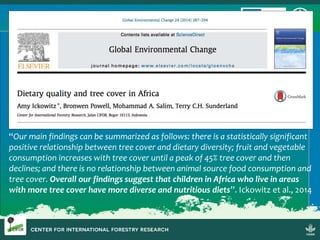 Sustainable Forestry for Food Security and Nutrition: FTA for better food systems and improved nutrition: Needs of Stakeholders and priorities for research