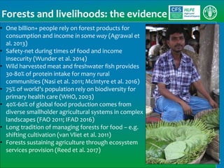 2
Forests and livelihoods: the evidence
• One billion+ people rely on forest products for
consumption and income in some w...