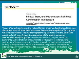 Sustainable Forestry for Food Security and Nutrition: FTA for better food systems and improved nutrition: Needs of Stakeholders and priorities for research