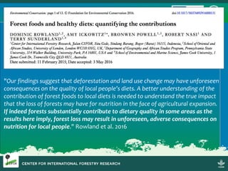 Sustainable Forestry for Food Security and Nutrition: FTA for better food systems and improved nutrition: Needs of Stakeholders and priorities for research