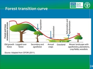 Sustainable Forestry for Food Security and Nutrition: FTA for better food systems and improved nutrition: Needs of Stakeholders and priorities for research
