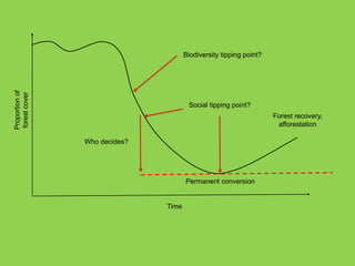 Sustainable Forestry for Food Security and Nutrition: FTA for better food systems and improved nutrition: Needs of Stakeholders and priorities for research