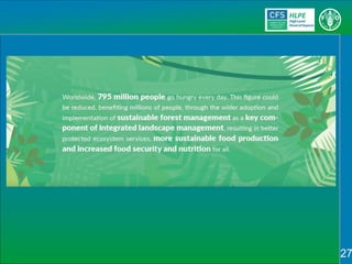 Sustainable Forestry for Food Security and Nutrition: FTA for better food systems and improved nutrition: Needs of Stakeholders and priorities for research