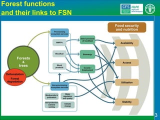 3
Forest functions
and their links to FSN
 