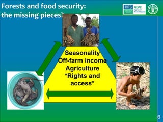 Sustainable Forestry for Food Security and Nutrition: FTA for better food systems and improved nutrition: Needs of Stakeholders and priorities for research