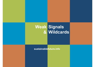Weak Signals
   & Wildcards


sustainablefuture.info
 