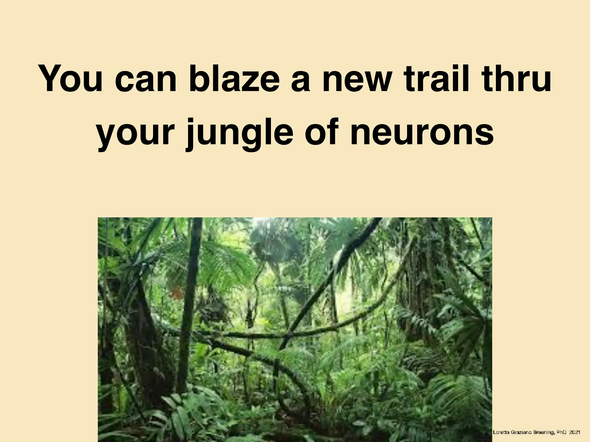 You can blaze a new trail thru
your jungle of neurons
 