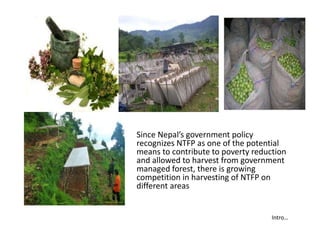 Sustainable harvesting of Non Timber Forest Product in Nepal | PPTX