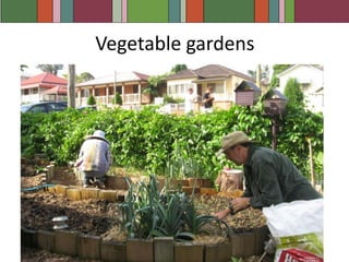 Other water saving strategiesWe have a frontload washing machine and only use it when fullWe capture water in 3 litre plastic bottles while we wait for hot water to warm up at the kitchen sink which we use to water pot plantsWe use a dishwasher – we aren’t convinced it saves water (nor electricity) but we do love it!