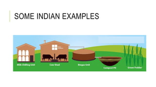SOME INDIAN EXAMPLES
 