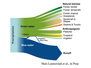 Sustainable Intensification of Agricultural Development:  The scientific support for a new paradigm