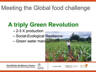 Sustainable Intensification of Agricultural Development:  The scientific support for a new paradigm