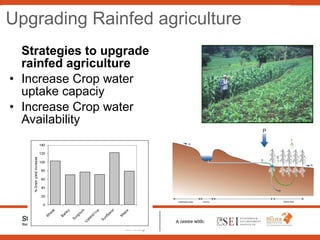 Sustainable Intensification of Agricultural Development:  The scientific support for a new paradigm
