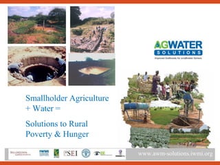 Sustainable Intensification of Agricultural Development:  The scientific support for a new paradigm