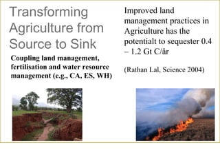 Sustainable Intensification of Agricultural Development:  The scientific support for a new paradigm