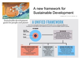 Sustainable Intensification of Agricultural Development:  The scientific support for a new paradigm