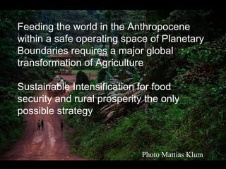 Sustainable Intensification of Agricultural Development:  The scientific support for a new paradigm