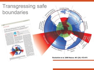 Sustainable Intensification of Agricultural Development:  The scientific support for a new paradigm