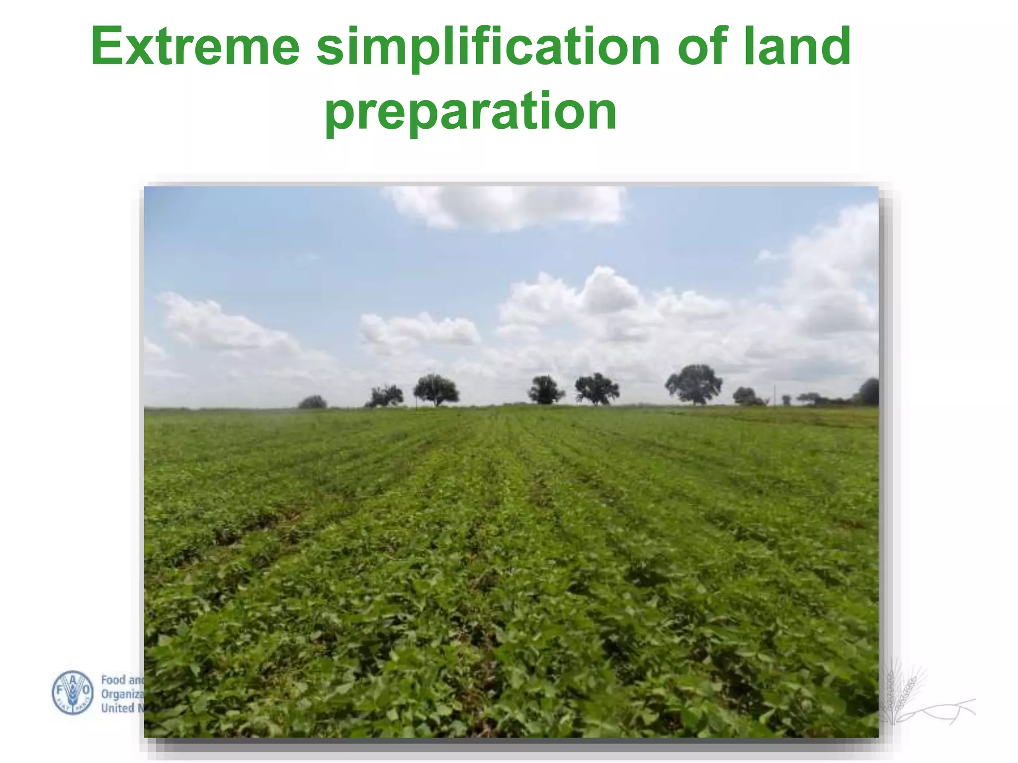 Sustainable intensification of smallholder farming systems in zambia | PDF