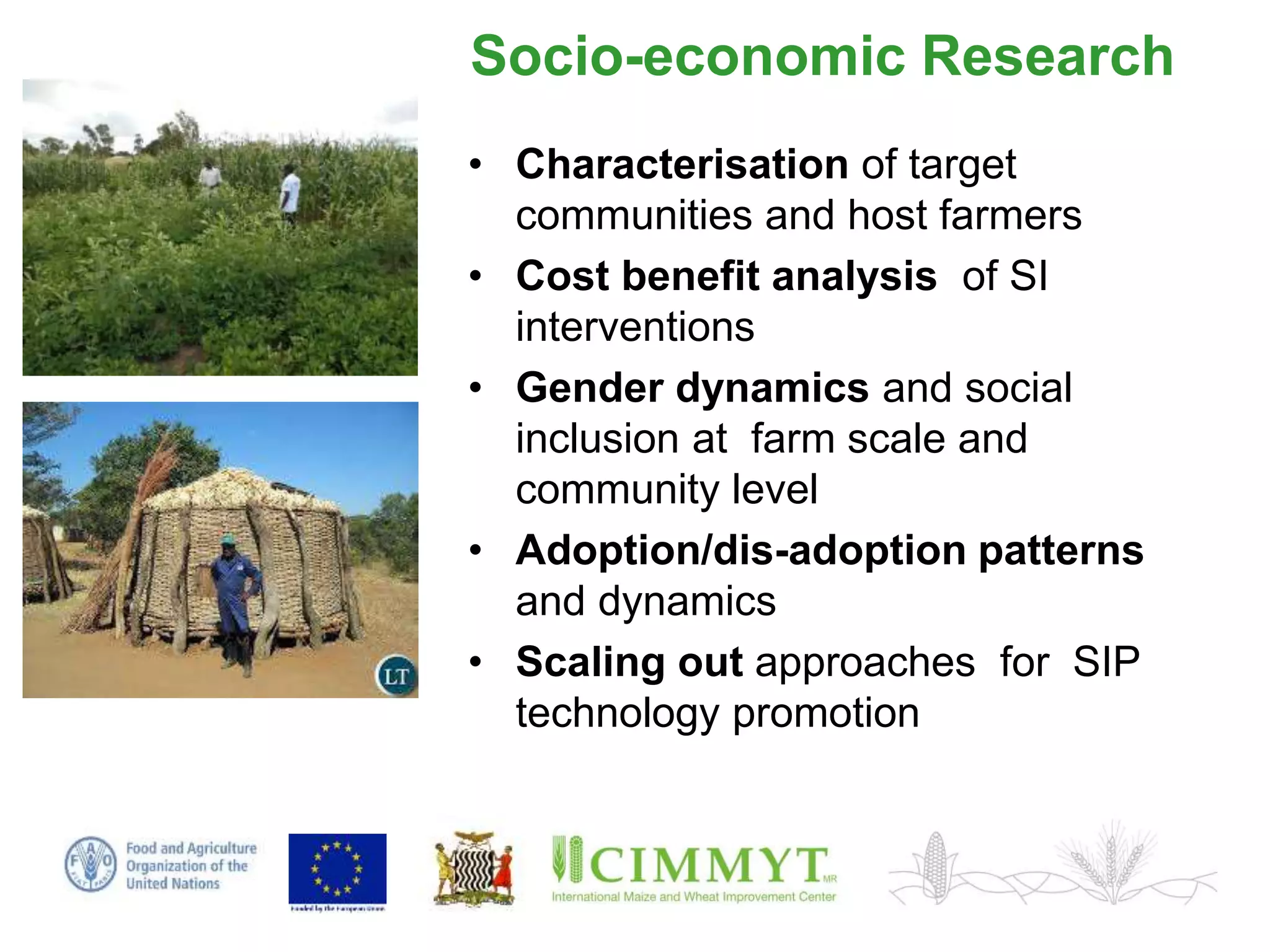 Sustainable intensification of smallholder farming systems in zambia | PDF