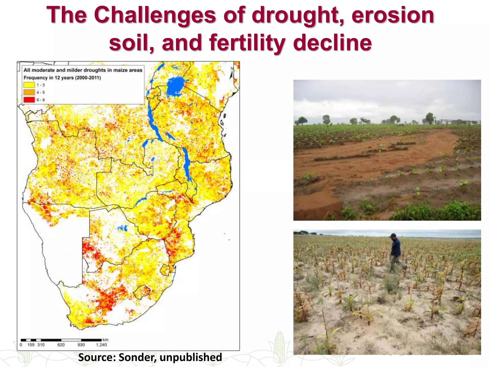 Sustainable intensification of smallholder farming systems in zambia | PDF