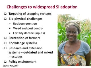 Sustainable intensification of smallholder farming systems in zambia | PDF