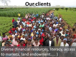 Sustainable intensification of smallholder farming systems in zambia | PDF