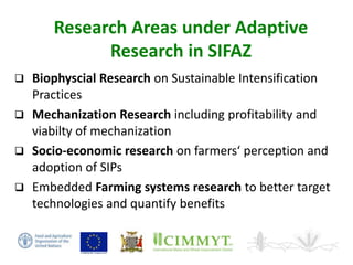 Sustainable intensification of smallholder farming systems in zambia | PDF