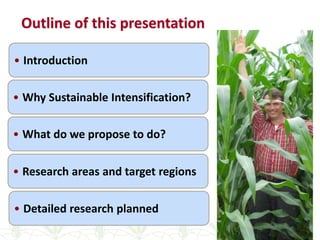 Sustainable intensification of smallholder farming systems in zambia | PDF
