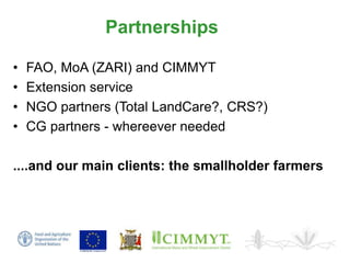 Sustainable intensification of smallholder farming systems in zambia | PDF