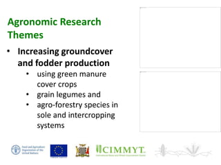 Sustainable intensification of smallholder farming systems in zambia | PDF