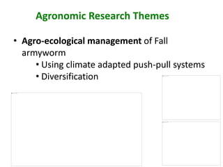 Sustainable intensification of smallholder farming systems in zambia | PDF