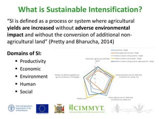 Sustainable intensification of smallholder farming systems in zambia | PDF